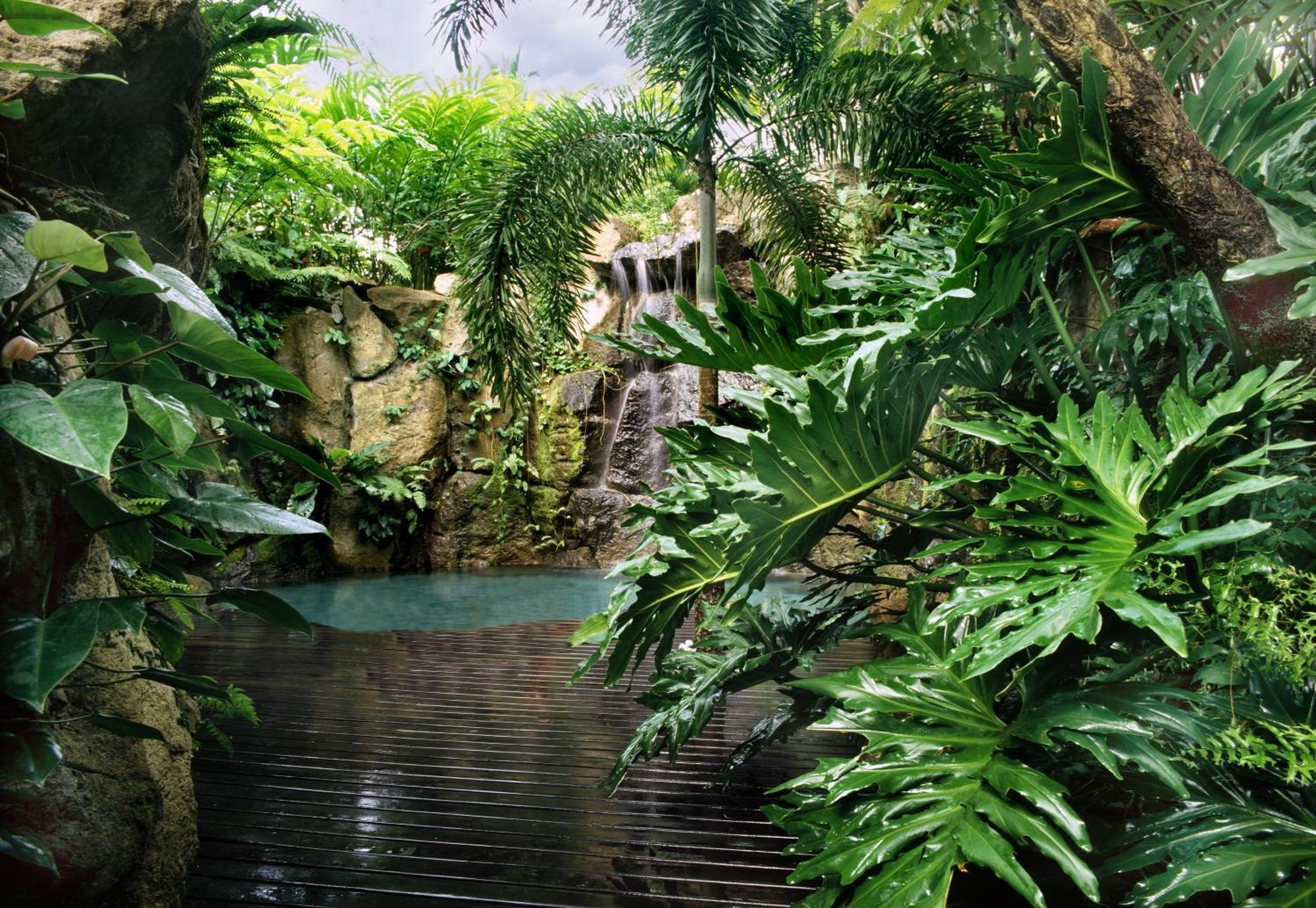 The Farm At San Benito Hotel Lipa City Exterior photo